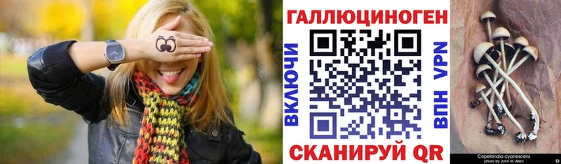Псилоцибиновые грибы мицелий  Новочеркасск 