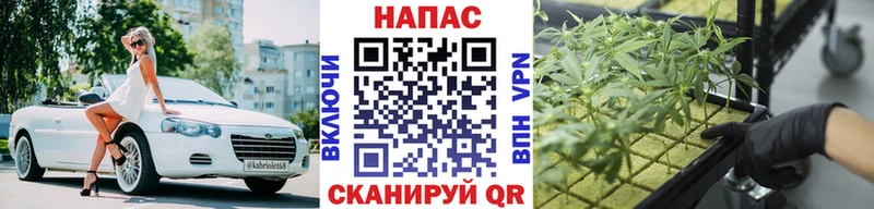 где купить   Новочеркасск  Марихуана индика 
